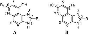 Different previous products A and B of cyclization of the open chain intermediates.