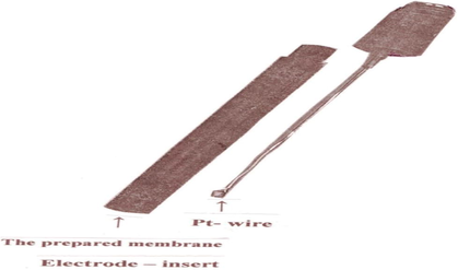 The electrode insert and the Pt wire assembly.