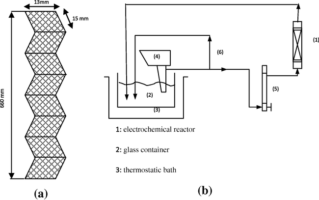 (a) Schematic representation of the experimental set-up. (b) Iron electrode.