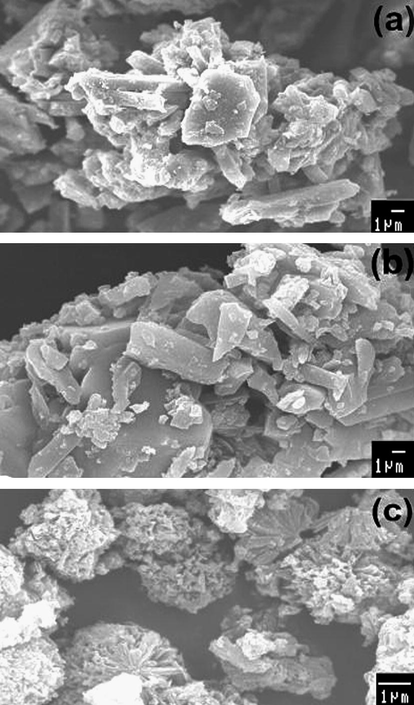 SEM images of (a) Co(II), (b) Ni(II) and (c) Cu(II) Schiff base complexes.