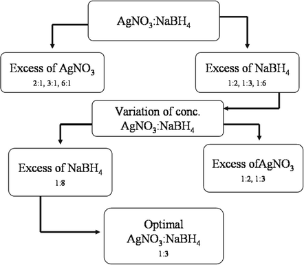 Schematic for the preparation of silver NPs.