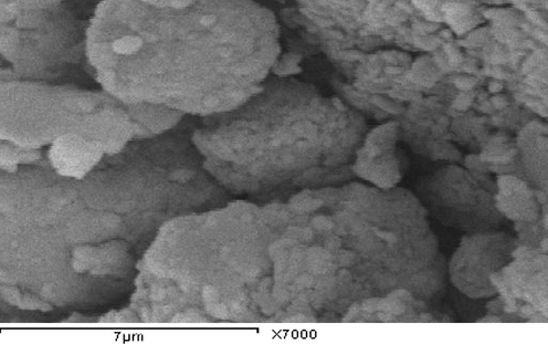 Scanning electron microscope photomicrographs of red clay(RC) deposits showing sub-rounded kaolinite.