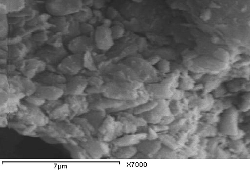 Scanning electron microscope photomicrographs of brick clay (GC) deposits showing sub-rounded kaolinite.