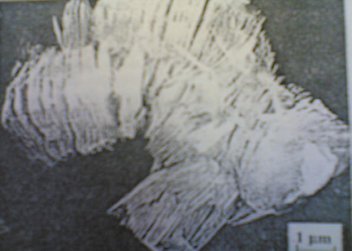 Scanning electron microscope photomicrographs of Spain clay deposits showing pseudo-hexagonal flakes of kaolinite Spain clay (KA).