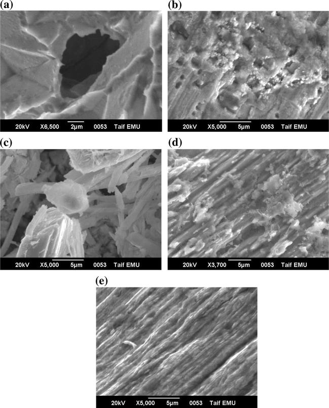 SEM examinations of Al surface in 0.04 M KSCN solution (a) without and with 0.002 M (b) MoO 4 2 − , (c) WO 4 2 − (d) SiO 3 2 − , or (e) CrO 4 2 − anions at 25 °C. In each solution, the Al specimen was potentiostatically held for 5.0 min at Es,a = 1300 mV.