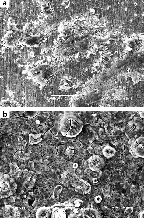 SEM micrographs of samples after immersion in 0.5 M HCl (a) without (b) with 4 × 10−3 M HMDTMP.