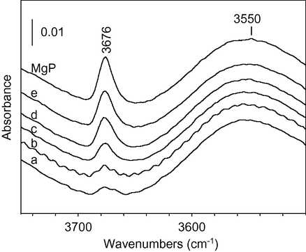 FT-IR spectra (OH stretching) of pyridine adsorbed on MgP support. (MgP) originally after outgassing at 673 K for 2 h, after exposure to pyridine and outgassing, (a) RT, (b) 323 K, (c) 373 K, (d) 423 K and (e) 473 K.