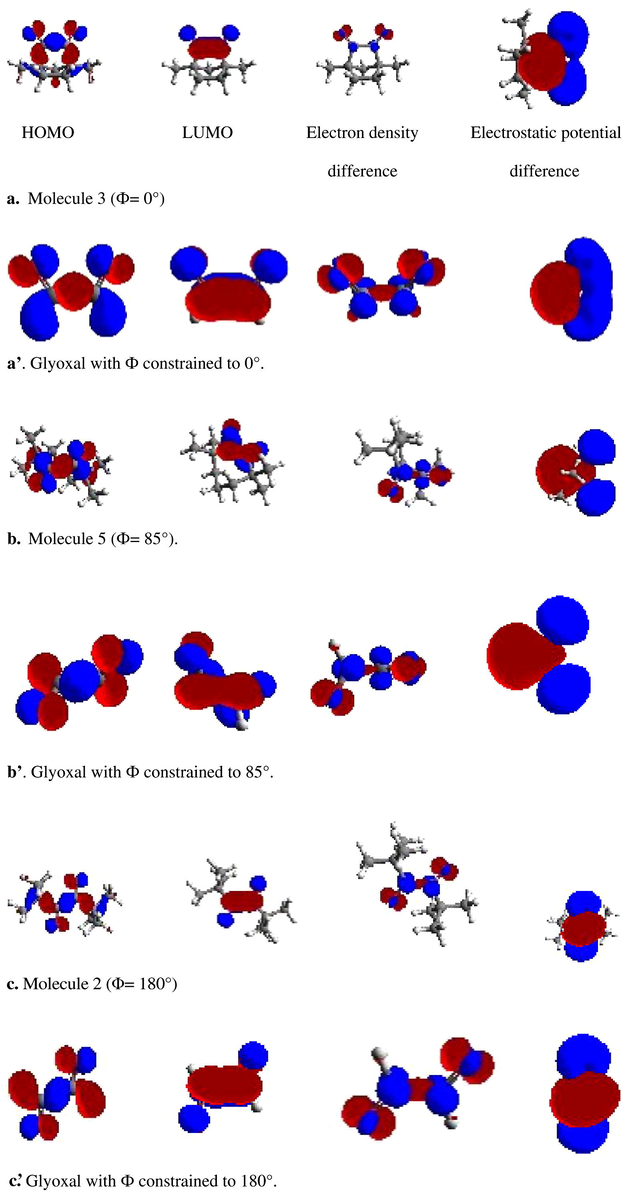 The electronic surfaces of some studied molecules compared to those of glyoxal constrained to the corresponding dihydral angles.