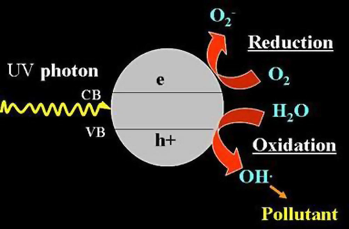 The conceptual reaction path of photocatalysis over TiO2 (Herrmann, 1999).