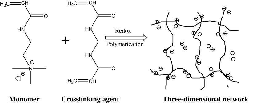 Three-dimensional network formation of cationic hydrogel (Barakat and Sahiner, 2008).