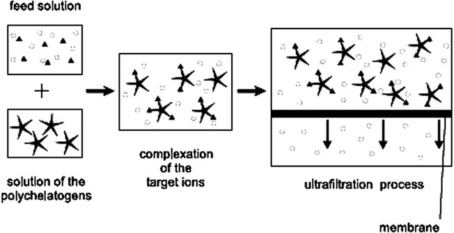 Principles of polymer-supported ultrafiltration (PSU) technique (Rether and Schuster, 2003).