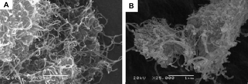 Scanning electron micrographs of raw MWCNTs (A) and oxidised MWCNTs with concentrated HNO3, (B) The images were amplified 25,000 times.