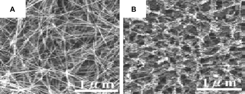 SEM images of MWCNTs synthesised with (A) and without (B) the magnetic field.