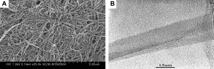 Electron micrographs of SWCNT (Kingston et al., 2004). (A) SEM of SWCNT. (B) TEM of SWCNT.