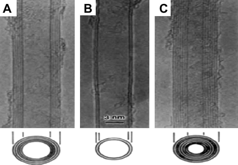 Electron micrographs obtained in the first report of CNTs (Iijima, 1991). Parallel dark lines correspond to the (0 0 2) lattice images of graphite. A cross-section of each tubule is illustrated. (A) Tube consisting of five graphitic sheets, diameter 6.7 nm. (B) Two sheets tube, diameter 5.5 nm. (C) Seven sheet tube, diameter 6.5 nm, which has the smallest hollow diameter (2.2 nm).