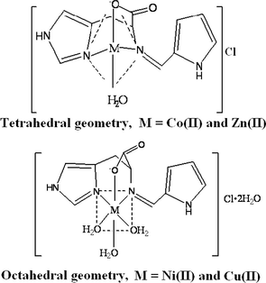 Proposed structure of the metal complexes.