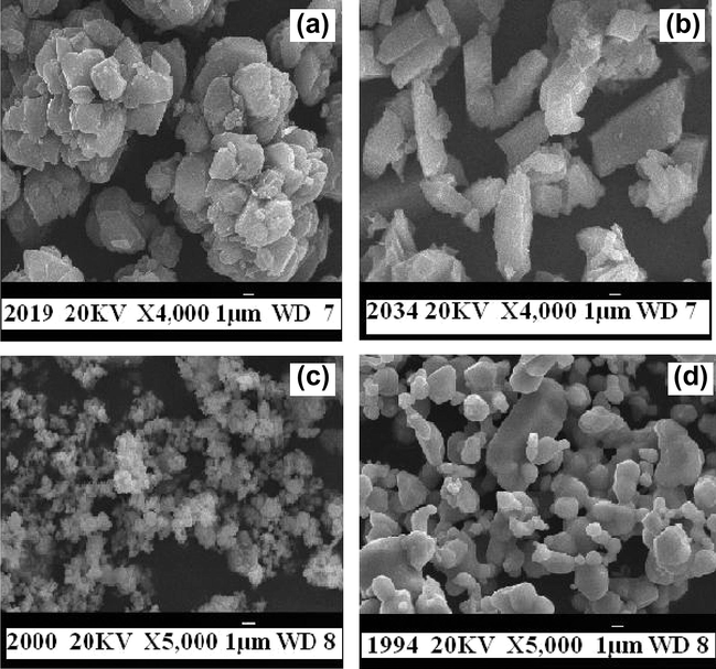SEM images of (a) [CoL(H2O)]Cl, (b) [NiL(H2O)3]Cl·2H2O, (c) [CuL(H2O)3]Cl·2H2O, (d) [ZnL(H2O)]Cl complexes.