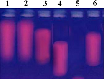 Gel electrophoresis diagram for the reaction done in the control experiment with an incubation time of 60 min at 30 °C in dark condition: lane 1: DNA + H2O2; lane 2: DNA + ligand + H2O2; lane 3: DNA + [CoL(H2O)]Cl + H2O2; lane 4: DNA + [NiL(H2O)3]Cl·2H2O; lane 5: DNA + [CuL(H2O)3]Cl·2H2O + H2O2; lane 6: DNA + [ZnL(H2O)]Cl + H2O2.