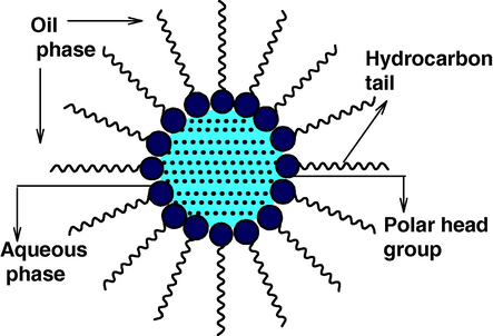 A typical structure of reverse micelle.