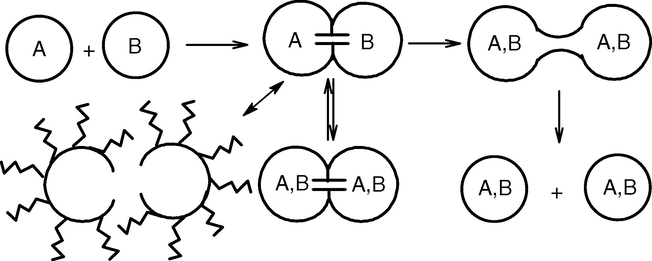 Mechanism for the formation of equal number of droplets.