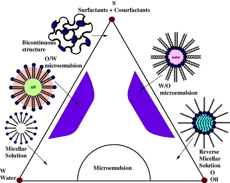 Hypothetical phase regions of microemulsion systems.