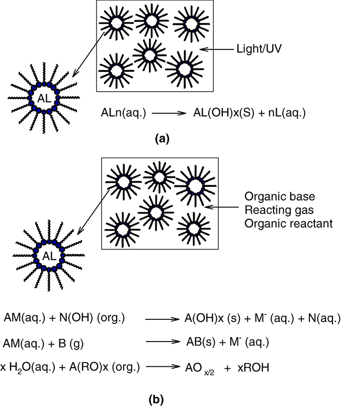 Different methods of nanoparticle synthesis in micro emulsions: (a) one microemulsion method: energy triggering method and (b) one-micro emulsion method plus reactant method.