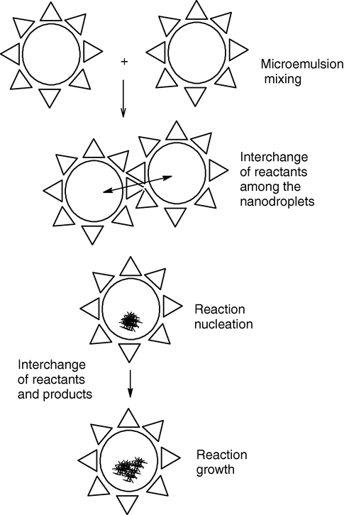 Mechanism of the formation of nanoparticles in microemulsions.