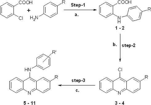 (a) Sodium acetate, Cu, CuO and DMF, heating at 160–170 °C for 2 h. (b) Cyclization by freshly distilled POCl3 under nitrogen atmosphere. (c) Phenol, heating at 100 °C, with primary aromatic amine. Where R = H for un-substituted acridine derivative and R = OCH3 for substituted acridine derivatives. When R = H then R′ = 4′-CH3 2′-COOH, 3′-CF3, when R = OCH3 then R′ = 4′-Cl 3′-CF3 3′-CH3.