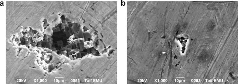 SEM micrographs recorded for Al in 0.25 M HG solution under galvanostatic regime at 0.20 V under the conditions of non-illumination (image a) and continuous illumination at 300 nm of the incident UV light (image b). The electrode was held for 5.0 min at the specified potential.