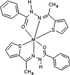 Proposed structure of the metal(II) complexes.