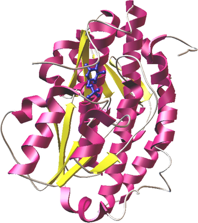 Crystal structure of X chain of GlcN-6-P synthase in complex with glucosamine-6-phosphate.