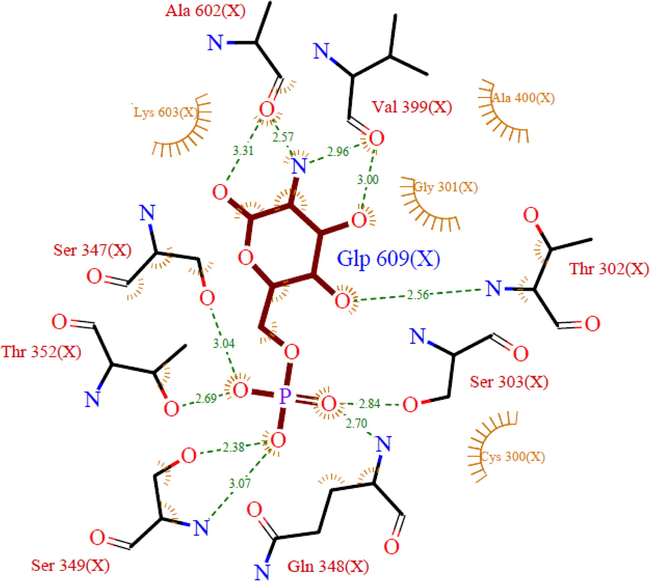PDBsum’s ligplot results for 2VF5, showing all 12 amino acid residues of active pocket.