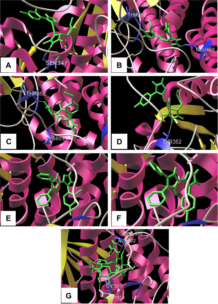 The best and stable conformations of all the synthesized molecules including the considered standard drug molecule. (A) 4a forming 1H bond with Ser347. (B) 4b forming 2H bond with Thr352 and Glu488. (C) 4c forming 2H bond with Thr352 and Lys603. (D) 4d forming 1H bond with Thr352. (E) 2a forming 0H bond. (F) 2b forming 0H bond. (G) Streptomycin forming 5H bond with Val399, Cys300, Asp354 and Ala602 (2H bonds).