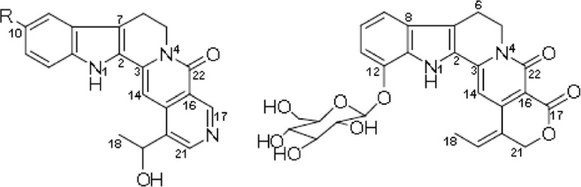 Structure of some indole alkaloids present in Nauclea latifolia.