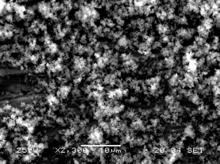 Scanning electron micrograph of apatite/platinum.