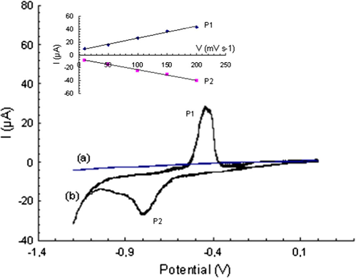 Cyclic voltammogram in HClO4 (0.1 M) for HAP layer, at carbon paste electrode (CPE). (a) Before preconcentration step. (b) After preconcentration in 3 × 10−4 mol L−1 Pb(II), pH 5.6. Vb = 100 mV s−1, between 0.2 and −1.2 V.