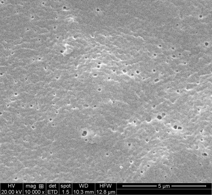 SEM surface image of the membrane M4.