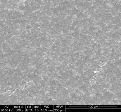 SEM surface image of the membrane M1.