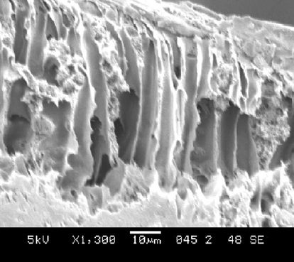 SEM cross section image of the membrane M4.