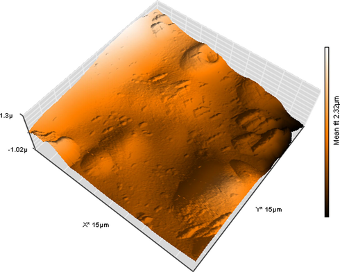 AFM surface roughness image of membrane M1.