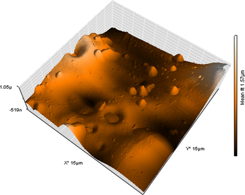 AFM surface roughness image of membrane M4.