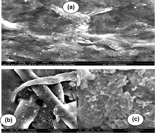 SEM photographs of unsaturated polyester Ce(IV) phosphate (a), unsaturated polyester (b) and Ce(IV) phosphate (c).