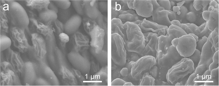 SEM images of biochar (a) and chemically activated biochar (b). 1 μm.