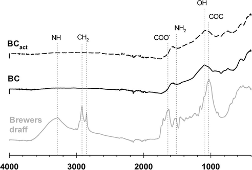 FTIR spectrum of (i) brewers draff before pyrolysis; (ii) biochar (BC), and (iii) activated biochar (BCact).