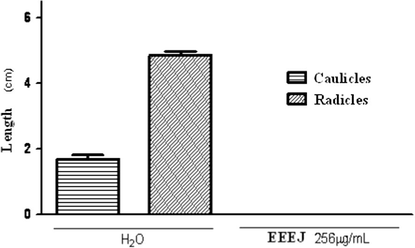 Germination and extension of caulicles and radicles of Lactuca sativa.