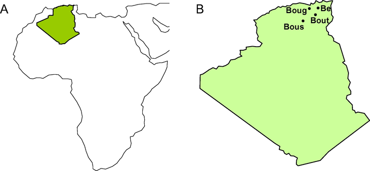 Algeria geographical location (a) and collection sites (b) of Artemisia herba-alba. Benifouda (Be); Bougaa (Boug); Boussaada (Bous) and Boutaleb (Bout).