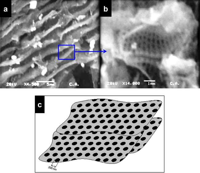 (a,b) SEM image of the activated carbon, (c) modeled structure.