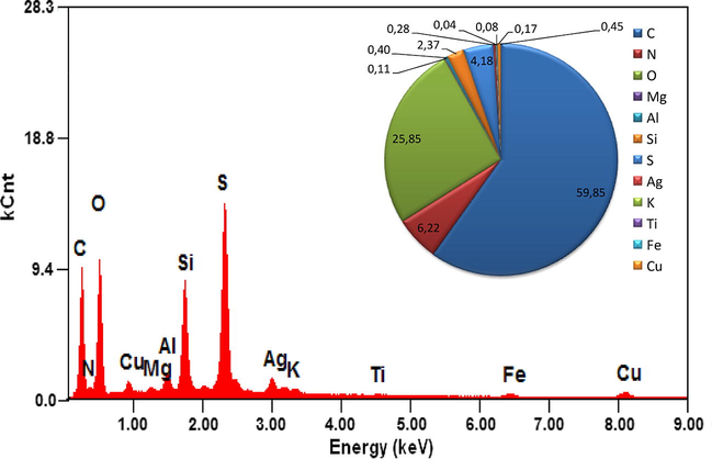 EDS microanalysis of the activated carbon.