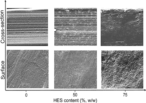 SEM images depicting the surface and the cross-section morphology distinctions of different HES contents in PVA hydrogel membranes, (original magnification was ×2500).