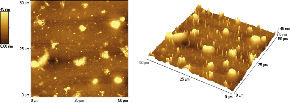 20 μm × 20 μm AFM image in 2 and 3 dimensions of the bispyrazol-based thin film obtained by spin coating the starting chloroform solution (29.7 mg/mLl) onto quartz substrate before gas sensing tests.